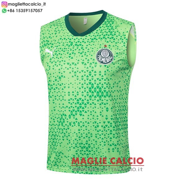 nuova senza maniche formazione divisione magliette palmeiras 2025-2026 verde