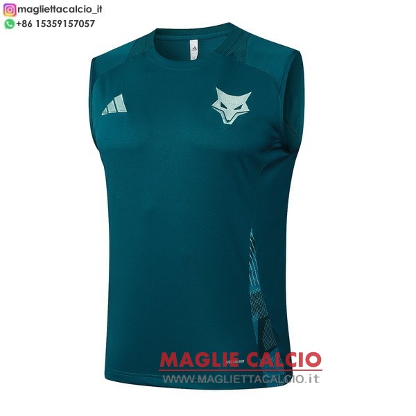 nuova formazione senza maniche divisione magliette cruzeiro 2025-2026 verde